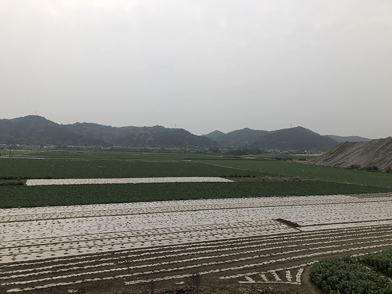 市、縣領(lǐng)導(dǎo)現(xiàn)場(chǎng)調(diào)研天馬50萬(wàn)噸玻瓶項(xiàng)目(圖7)